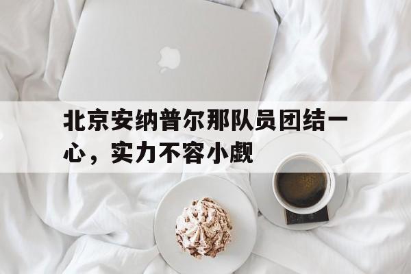 开云APP-包含北京安纳普尔那队员团结一心，实力不容小觑的词条