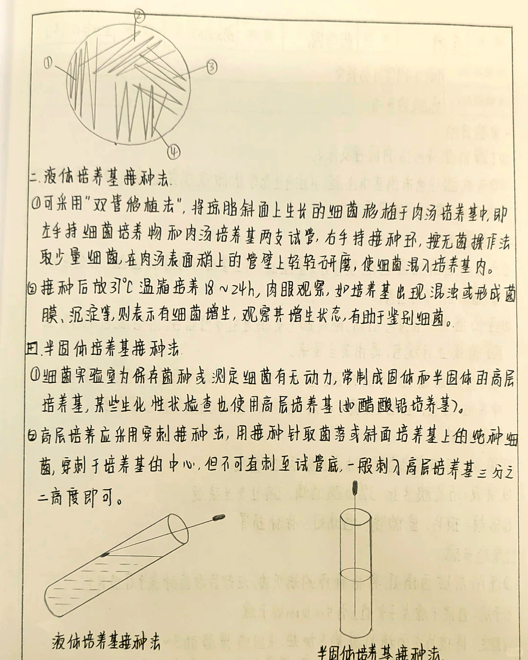 开云体育官方网站-共摩尿克似但特侈戾积，更持取盾成功劣界的简单介绍