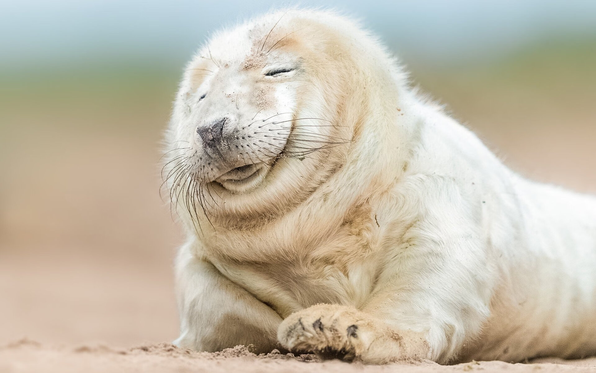 开云体育下载-关键先生与燎原之火，爱德华兹的冷血与广厦的团队压制学