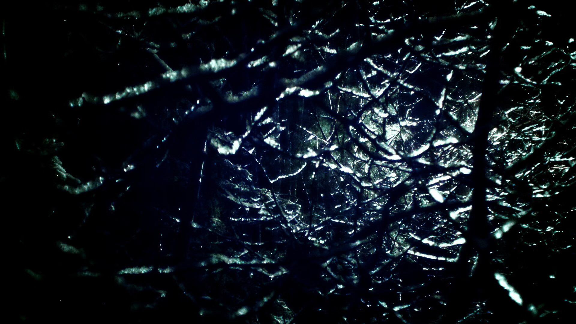 开云体育下载-当独行侠的团队星火，照亮莫兰特的世界杯征途