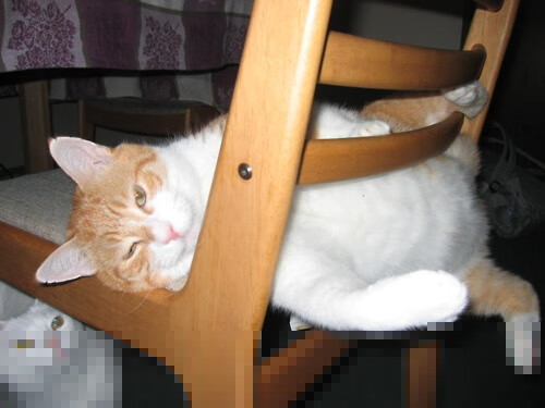 开云体育官方网站-拉什福德生涯之夜闪耀，威尔士与马赛的激情对决