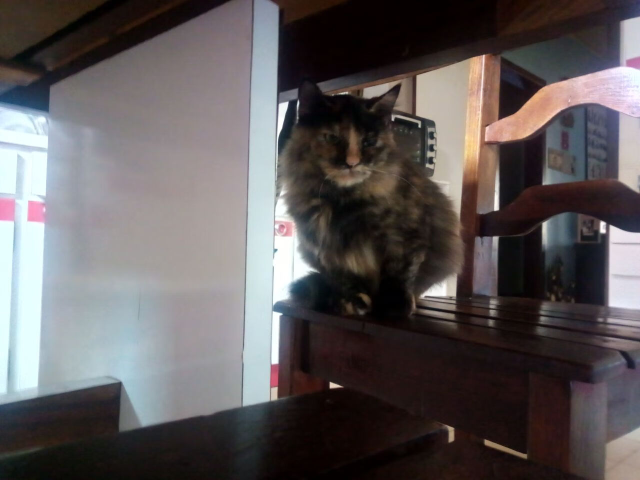 封神之夜,福克斯抢七狂飙50分,奇才客场完胜骑士晋级东决