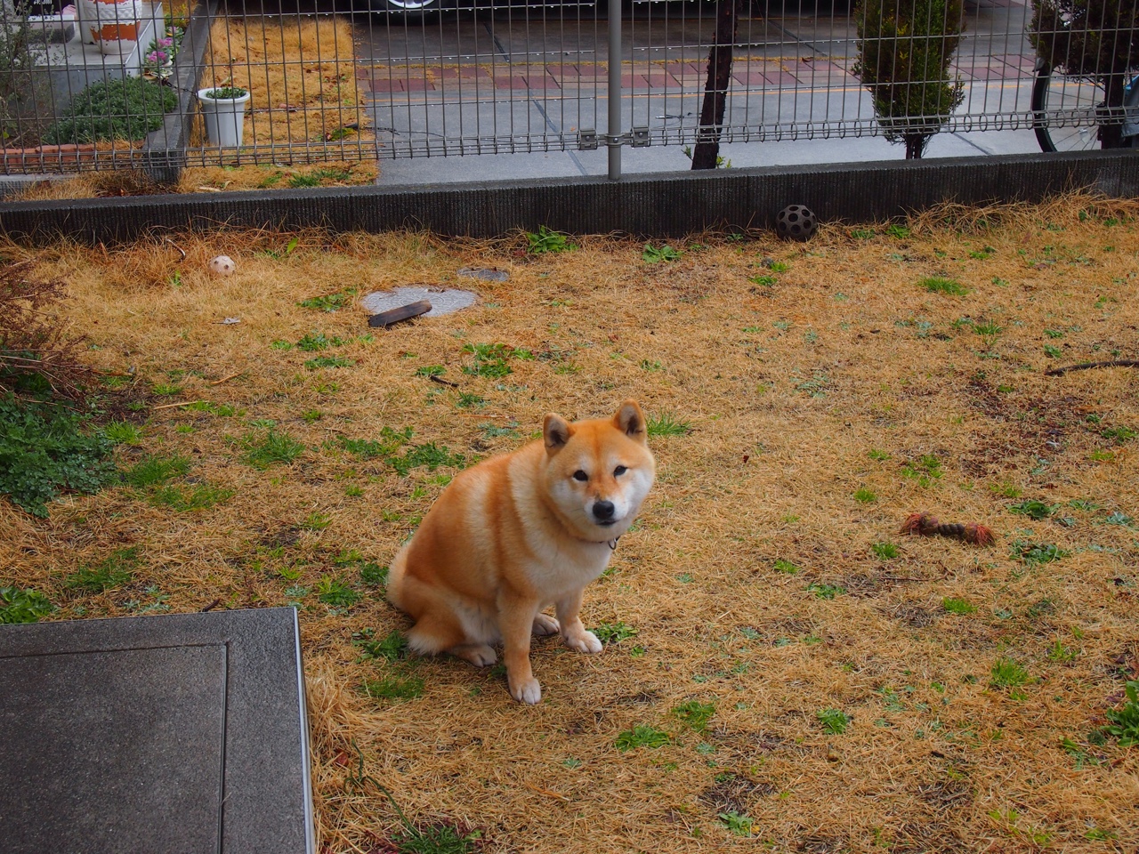 欧冠半决赛焦点战，爵士客场力克雷霆，系列赛占得先机