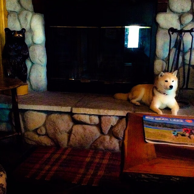 开云体育登录-压力下的璀璨，福克斯爆发与独行侠翻盘热火的壮举