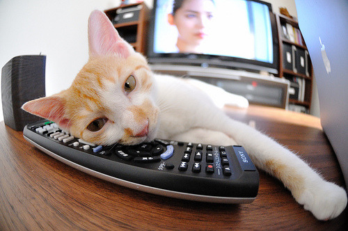 终场哨响前，卡瓦哈尔投下史诗的骰子