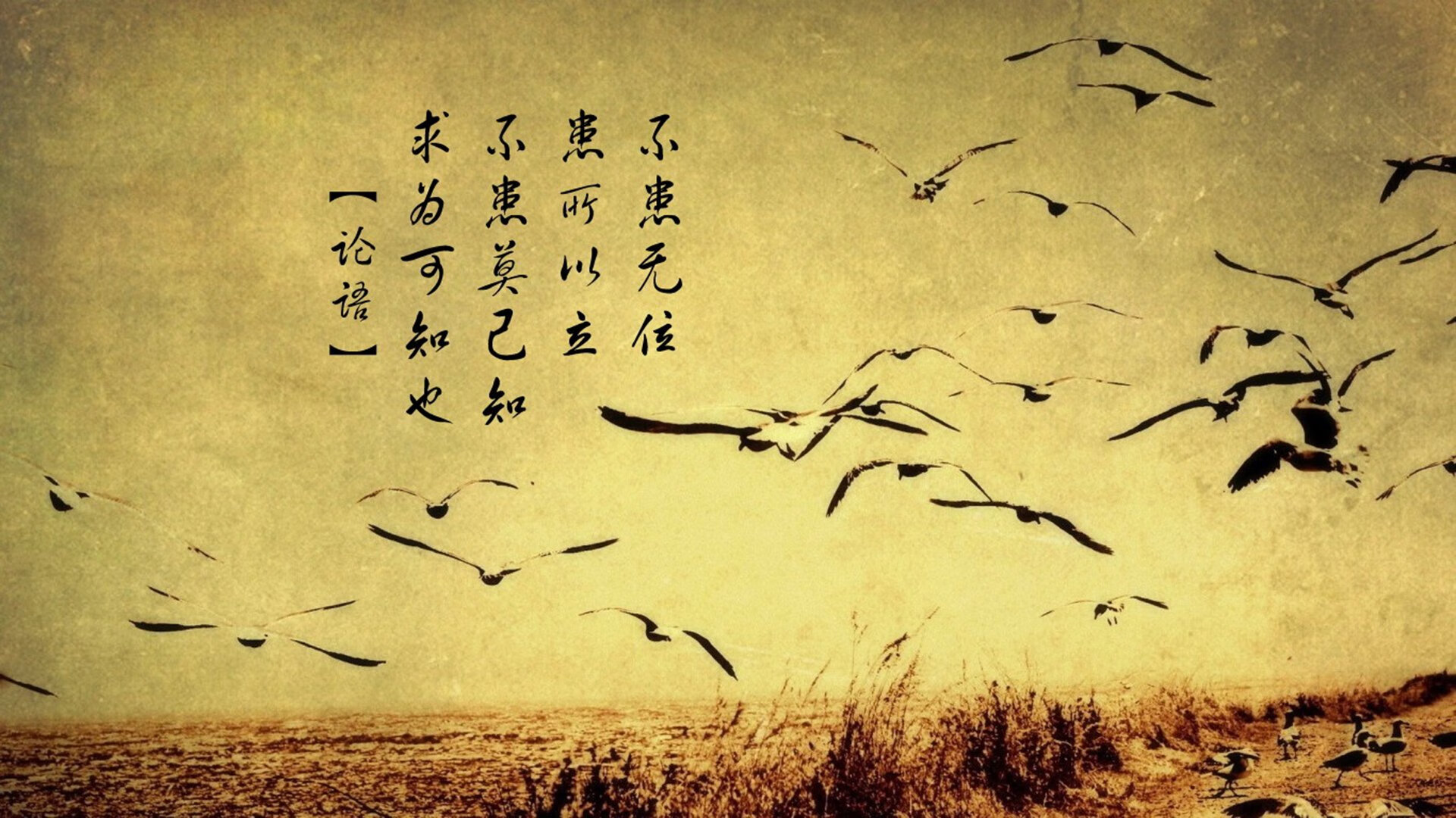 开云体育下载-山西汾酒掀翻辽宁巨舰，现代篮球的攻防转换之魂，从东契奇到CBA战术革命