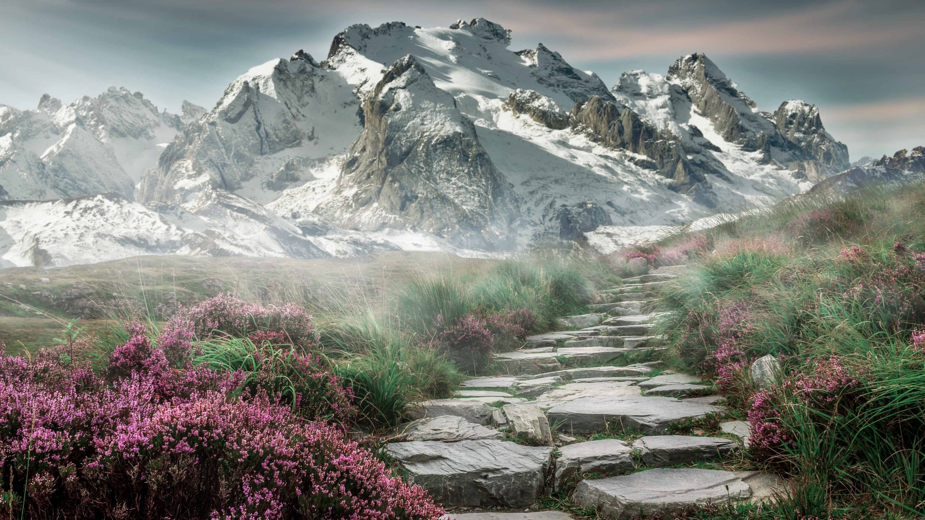 开云体育APP下载-布克压哨一剑封喉！广厦终结广东不败金身，新援首秀即成救世主