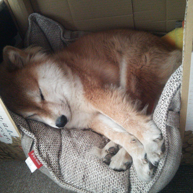 菲尼克斯的节拍器，总决赛夜布克如何掌控全场心跳