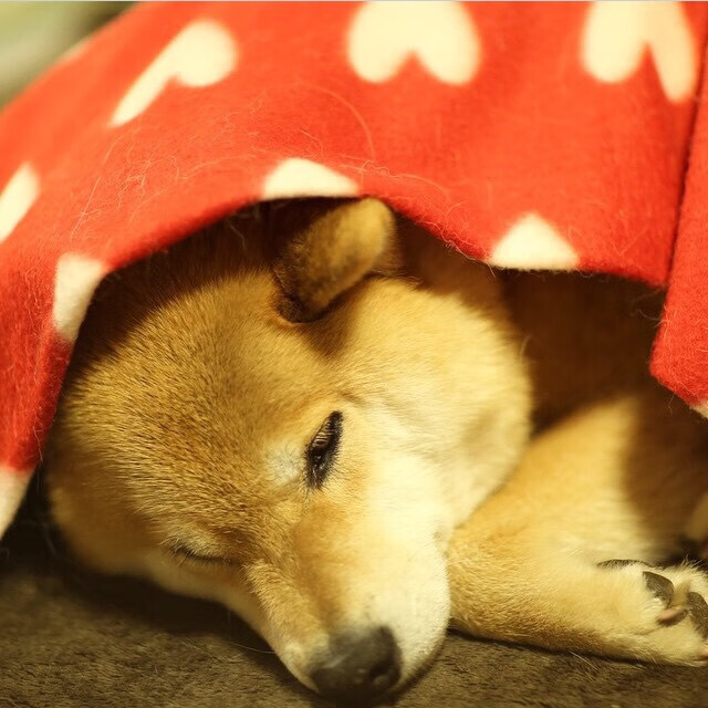 另一种掌控，当西班牙的精密齿轮遇见梅西的随心魔法