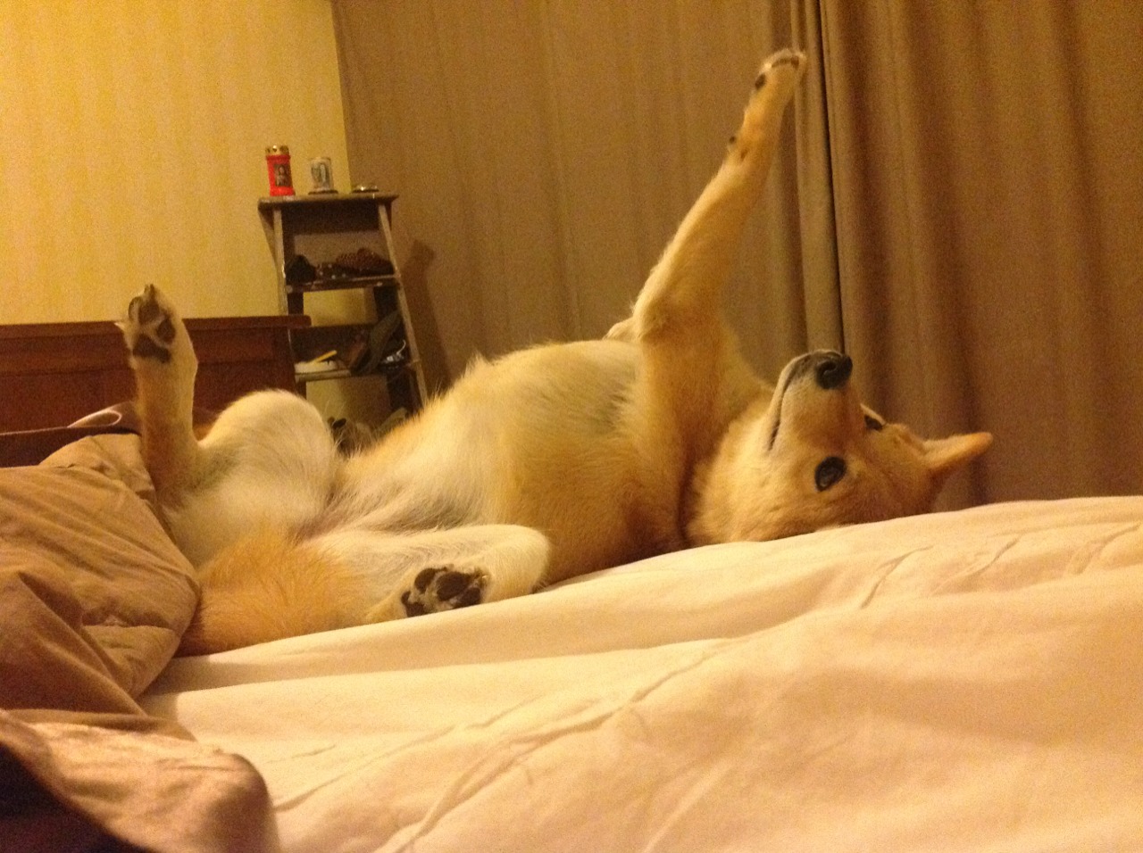 开云体育入口-福克斯37分撕裂密尔沃基防线 开拓者双枪哑火下奇兵突围