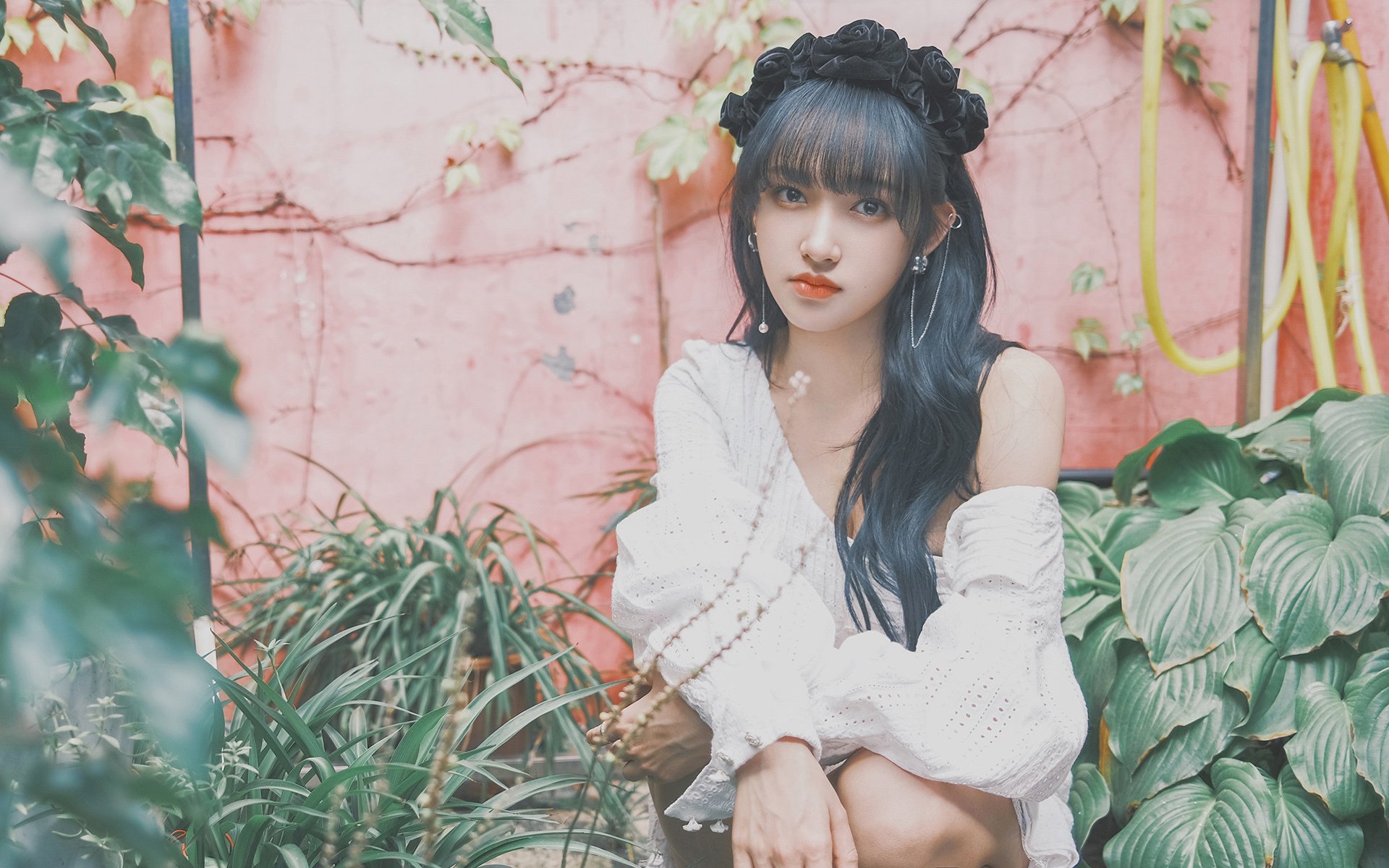 领袖之力,字母哥的冠军气场与国王的逆袭启示