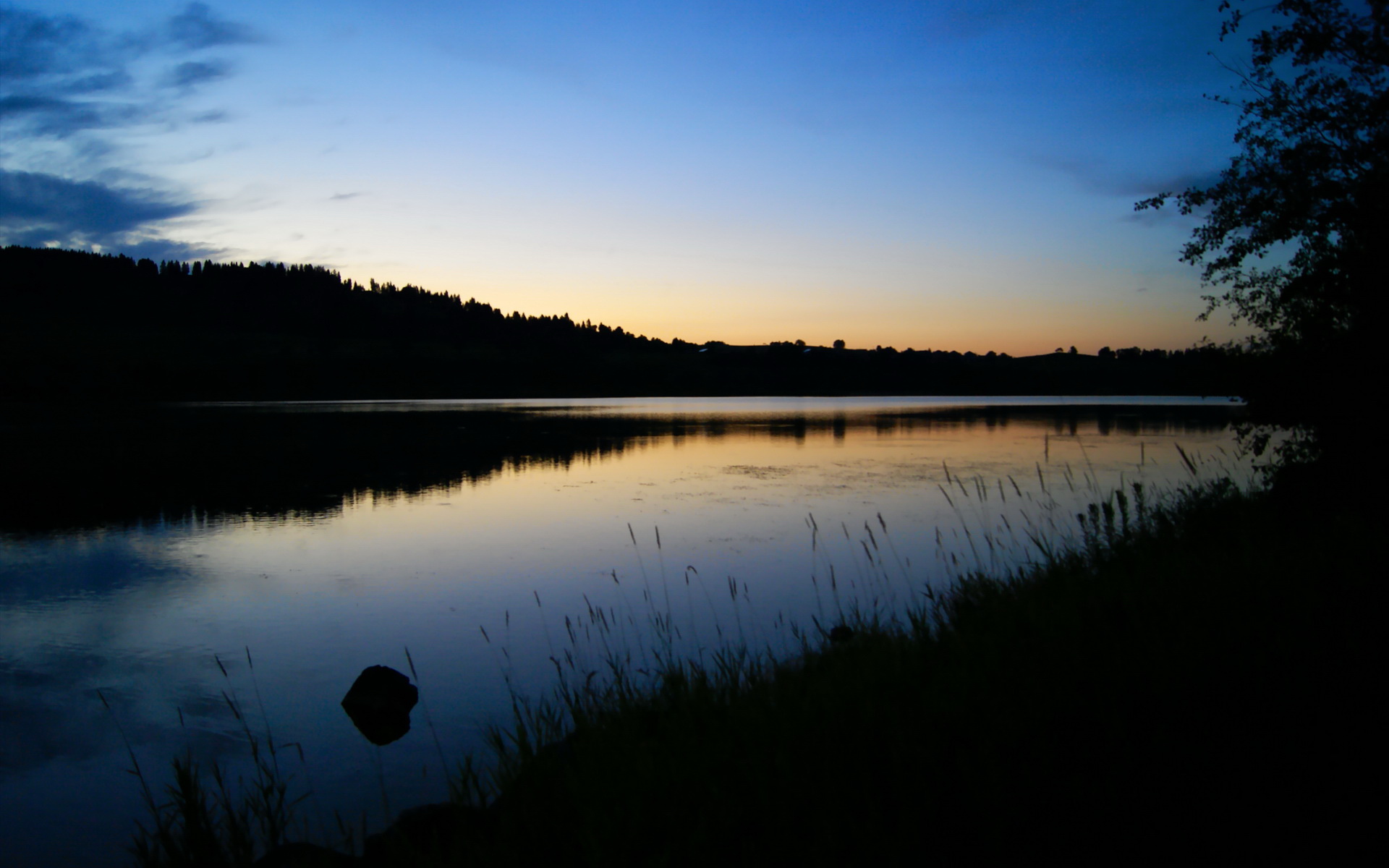 领袖之力,字母哥的冠军气场与国王的逆袭启示