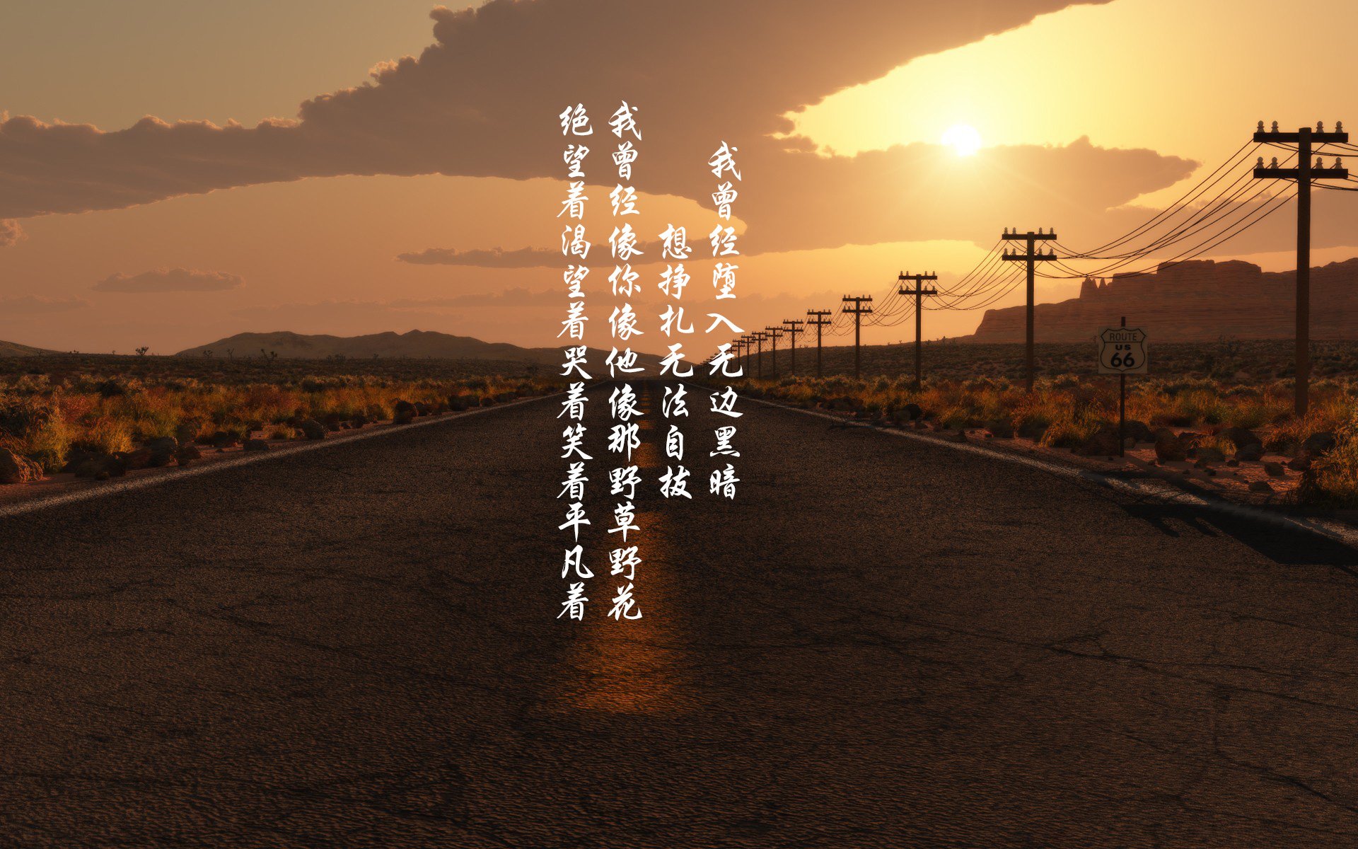 布克教科书级表现闪耀全场,森林狼铁壁防守封锁篮网