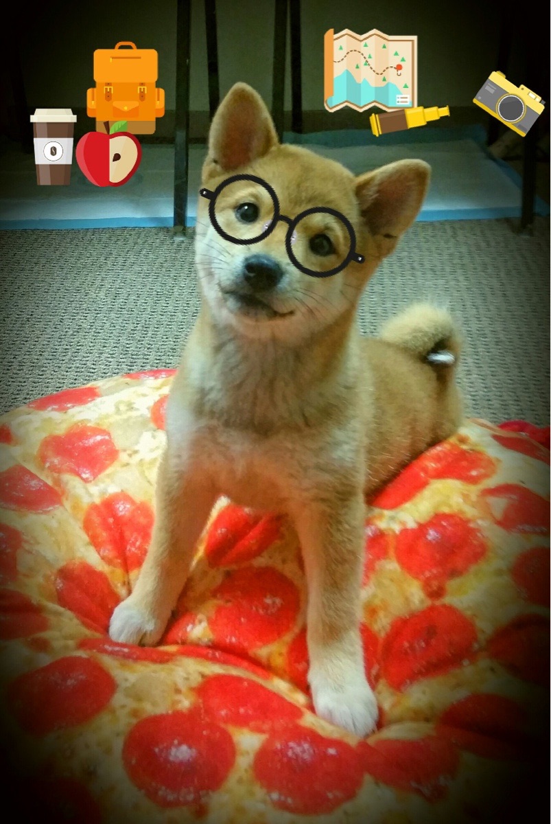 莱比锡红牛闪电战速胜荷兰豪门,托尼一锤定音成关键先生