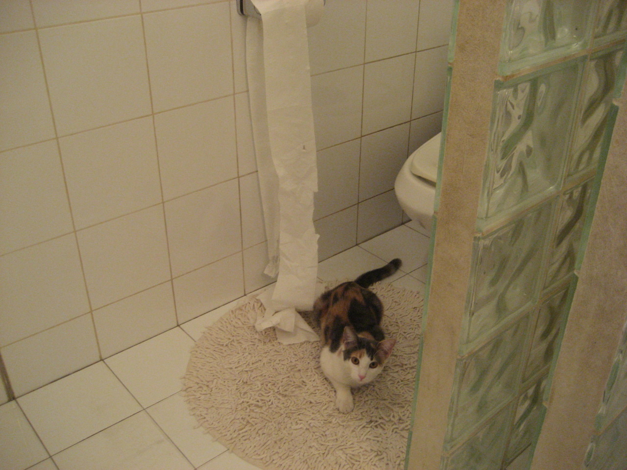 开云体育官方网站-极限对轰！拉梅洛49分难救主，东方巨龙力压南海岸烈焰