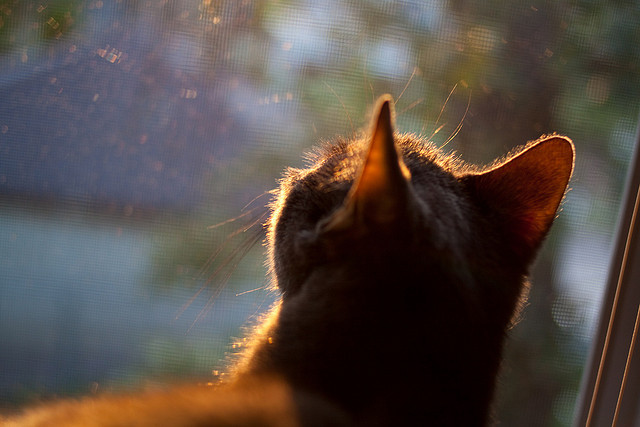 开云体育中国-巴尔韦德压制级表现难救主，克罗地亚补时绝杀尤文图斯