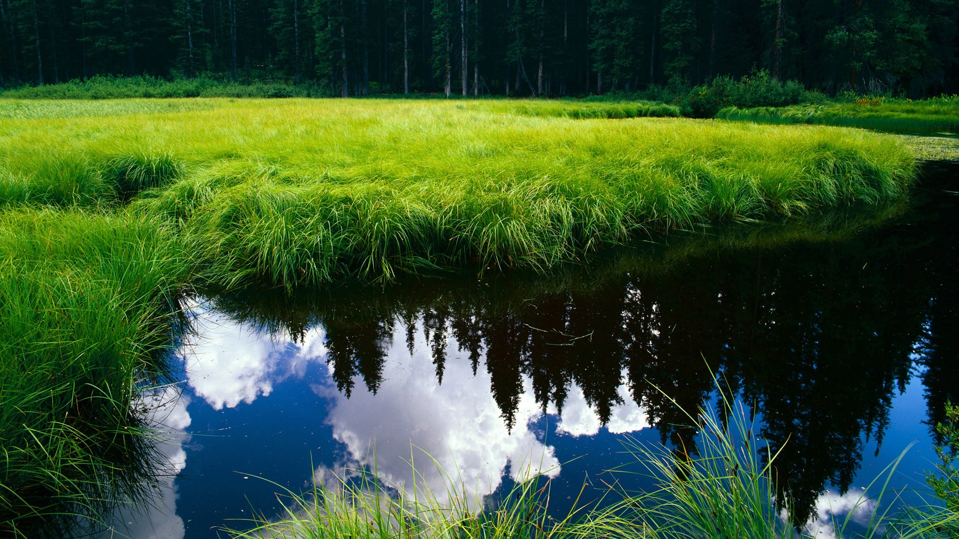 开云平台-双城记，当枪手窒息式压迫遇上勇士的窒息防守，赢家凭什么都是铁壁？
